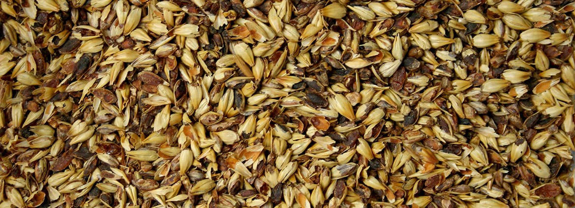 Specialty Grains and Malts