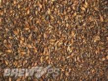 Chocolate Malt