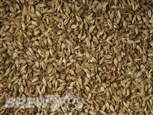 Crystal Malt 20L