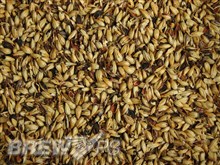 Crystal Malt 80L
