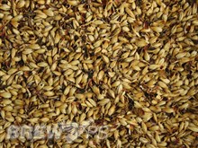 Crystal Malt 120L