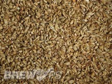 Munich Malt 10L 