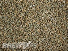 Rye Malt