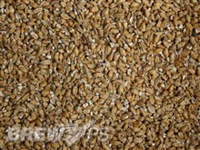 Wheat Malt