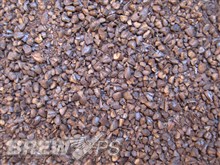 Carafa III  - Weyermann
