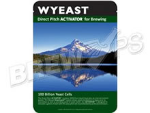 Irish Ale Yeast - Wyeast 1084