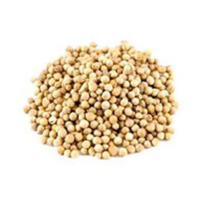 Coriander Seed (Coriandrum Sativum)