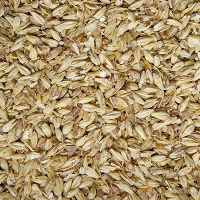 Pale Ale Malt (Briess) - 1 LB