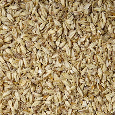 Pilsen Malt (Briess) - 1 LB