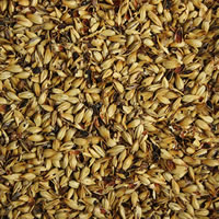 Crystal 60L Malt - 1 LB / 