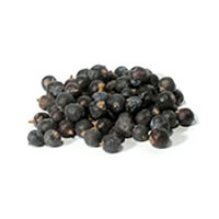 Brewer’s Best® Juniper Berries - 1 oz / 