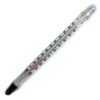 Floating Thermometer