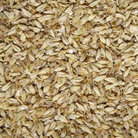 Pale Ale Malt (Briess) - 1 LB