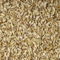 Pilsen Malt (Briess) - 1 LB / 