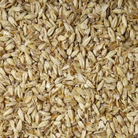 Pilsen Malt (Briess) - 1 LB / 